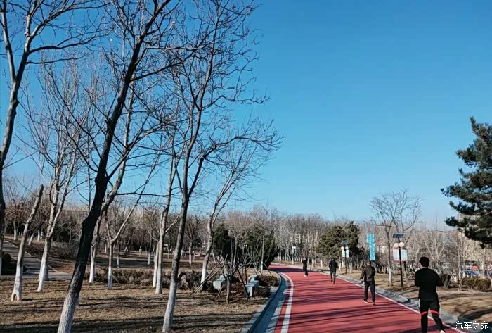 家附近的公园,呼吸新鲜空气