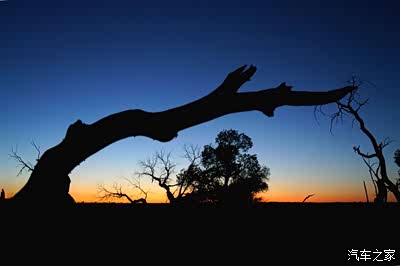 枯藤老树古道西风残阳如血漠风当歌