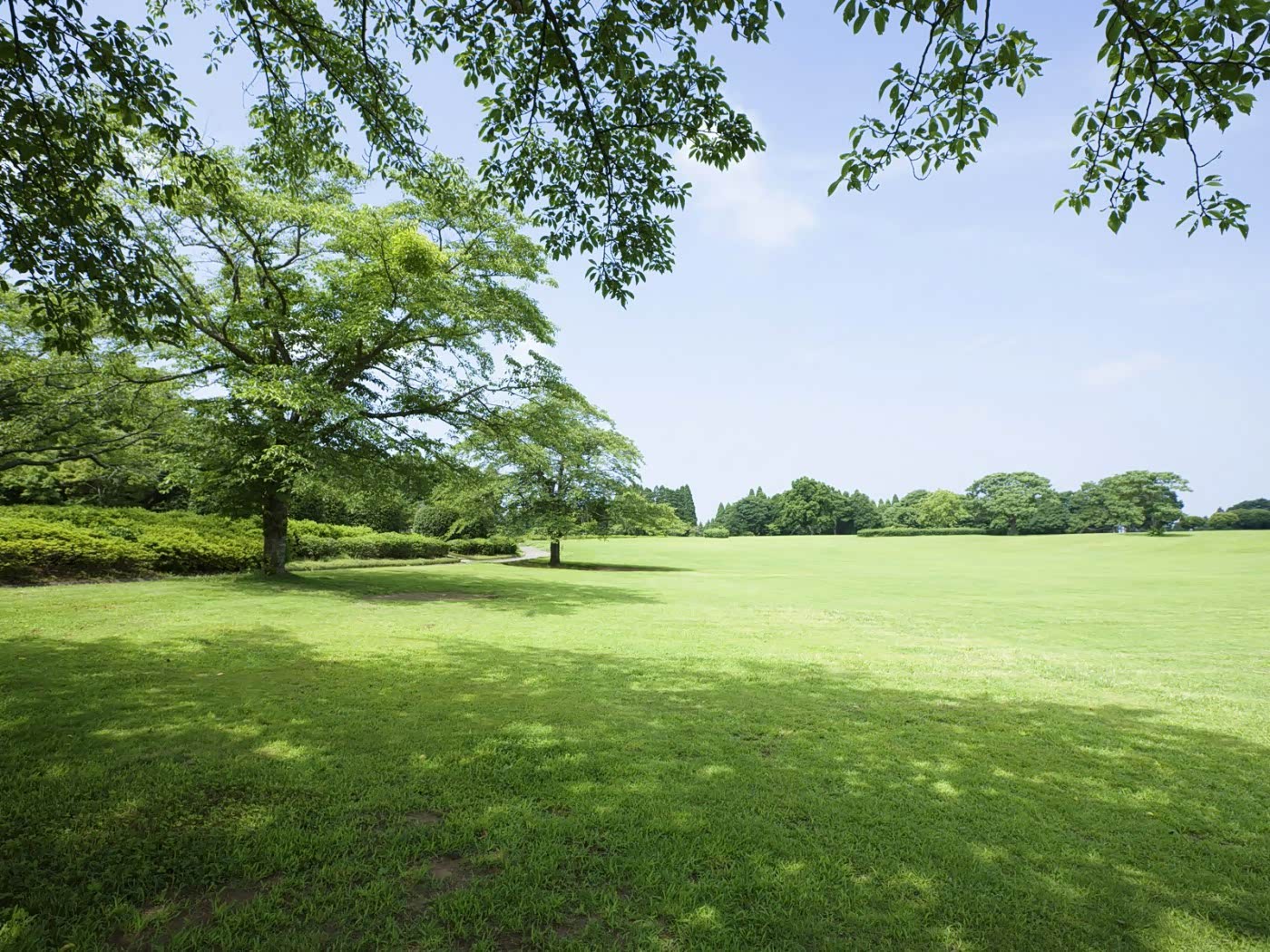 走出户外去旅行,发现大自然的美丽.清新绿色的风景