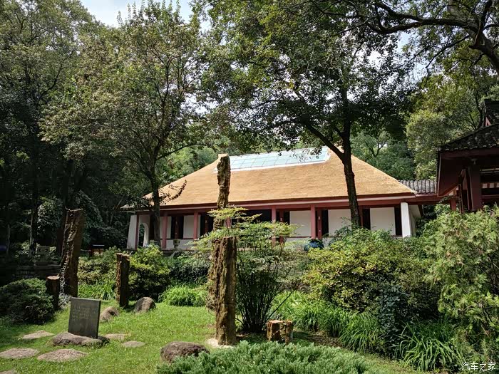 到访林散之艺术馆