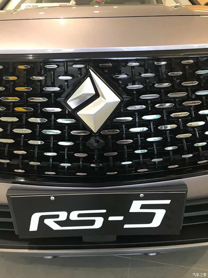 这是全新宝骏钻石标,有没有点心动,比马头好看多了