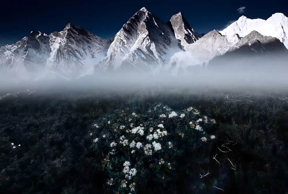 世间万物都是相对的,各有千秋