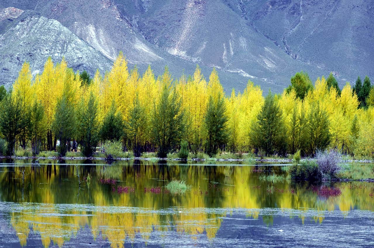 河谷地貌风景,自然生成的天然景观,美丽的星球