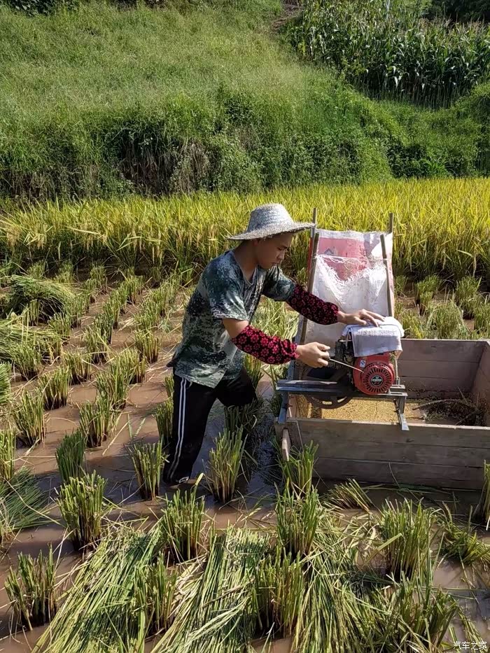 稍微休息一会儿,感觉凉快些了就又下田继续干活,拉燃汽油机就是干啊.
