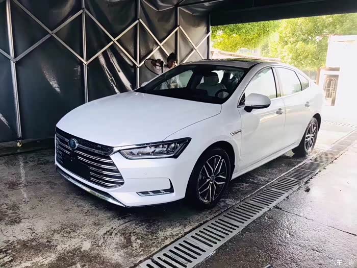 秦dm真的太酷了