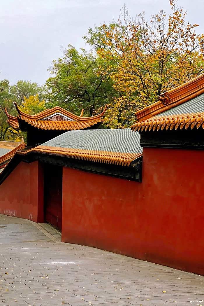 朝天宫银杏季红墙琉璃瓦别有一番京城的味道