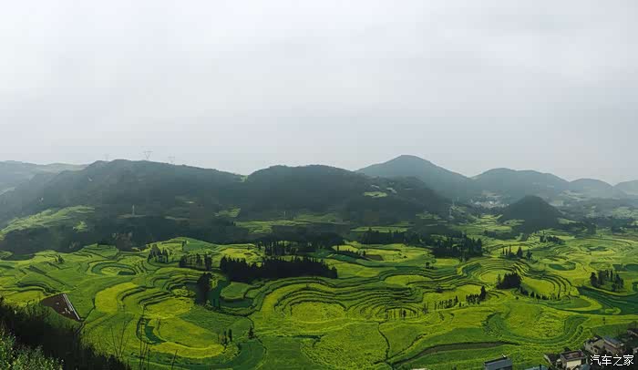 古有徐公比美今有大白与花海谁醉美