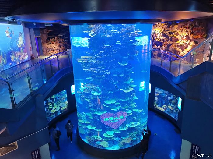 【积分大放送】沃沃带我游览青岛海底世界之海洋生物馆