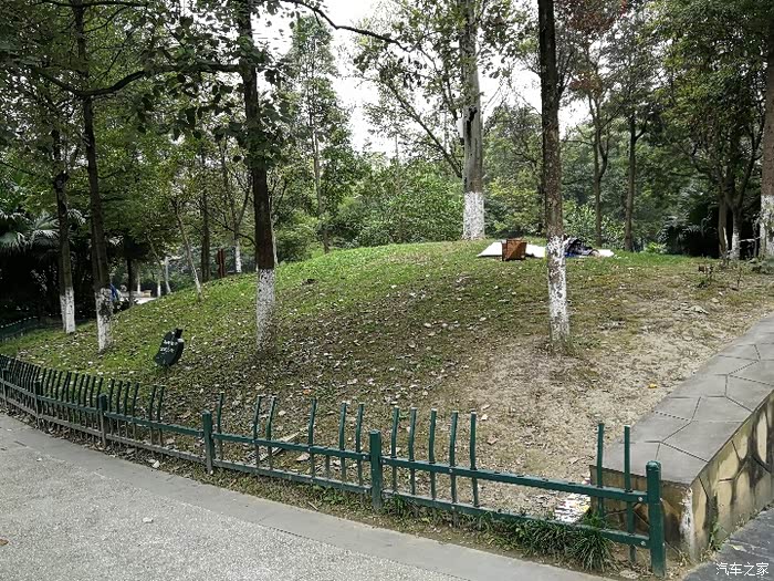 石犀运动公园走一遭