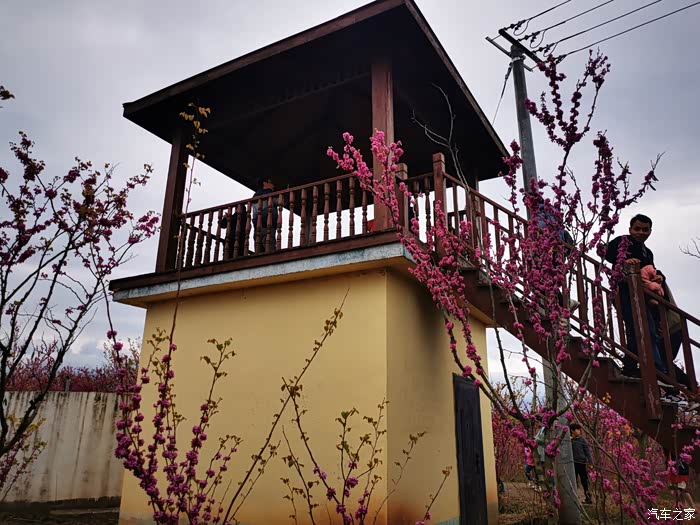 【归家】白鹿原鹿走沟休闲农业园踏青赏花