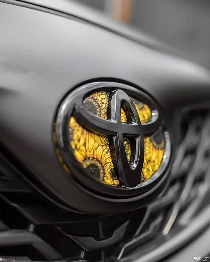 【图】菊花牌卡罗拉你喜欢吗?_青少年论坛_汽车之家论坛