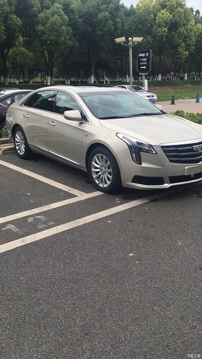 非诚勿扰_凯迪拉克xts论坛_汽车之家论坛