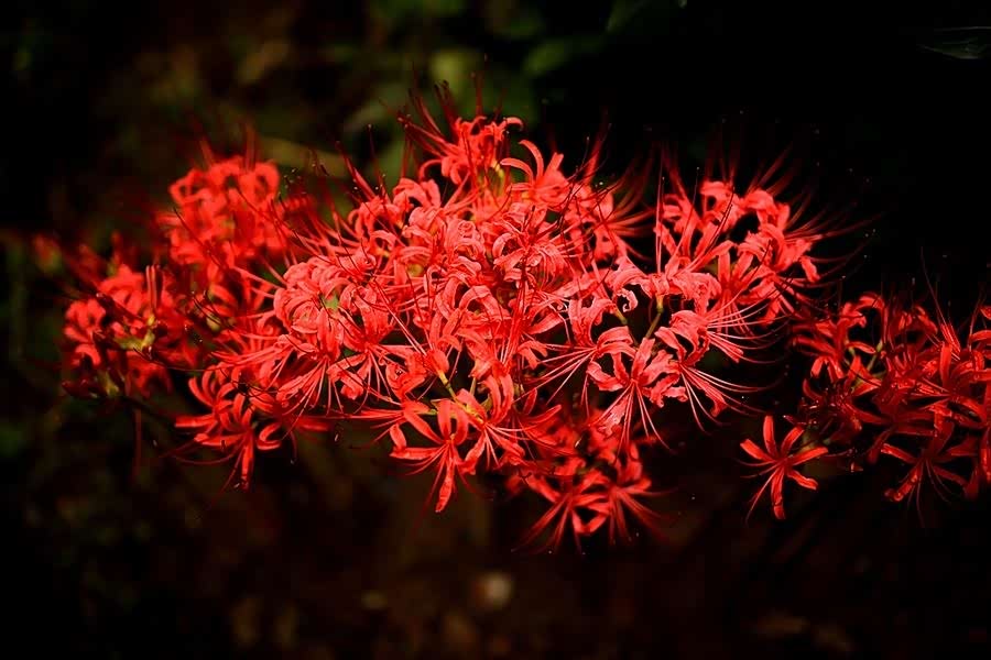 要时间嘉许,等春风得意,正好遇见你_比亚迪m6论坛_手机汽车之家