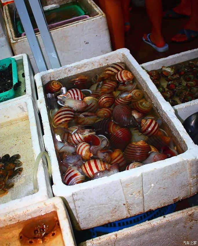 【深圳长安车友会】194-渔港海鲜真新鲜