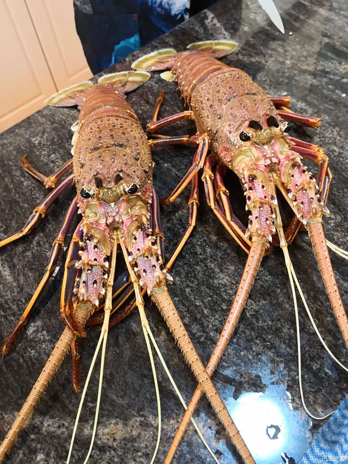 2019年元旦节澳洲珀斯海钓美食之旅