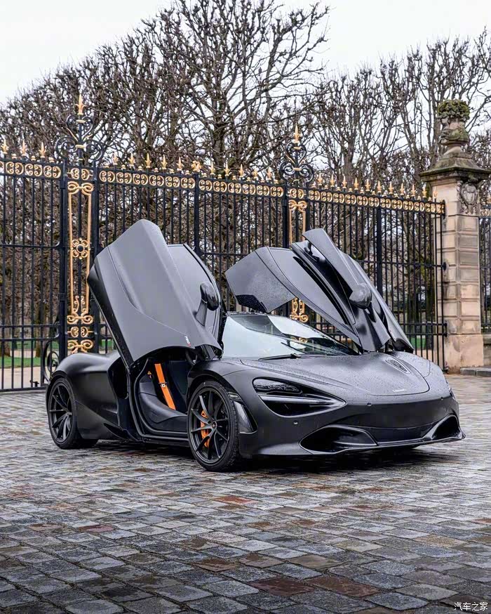 配有能够体现超跑格调的蝴蝶门