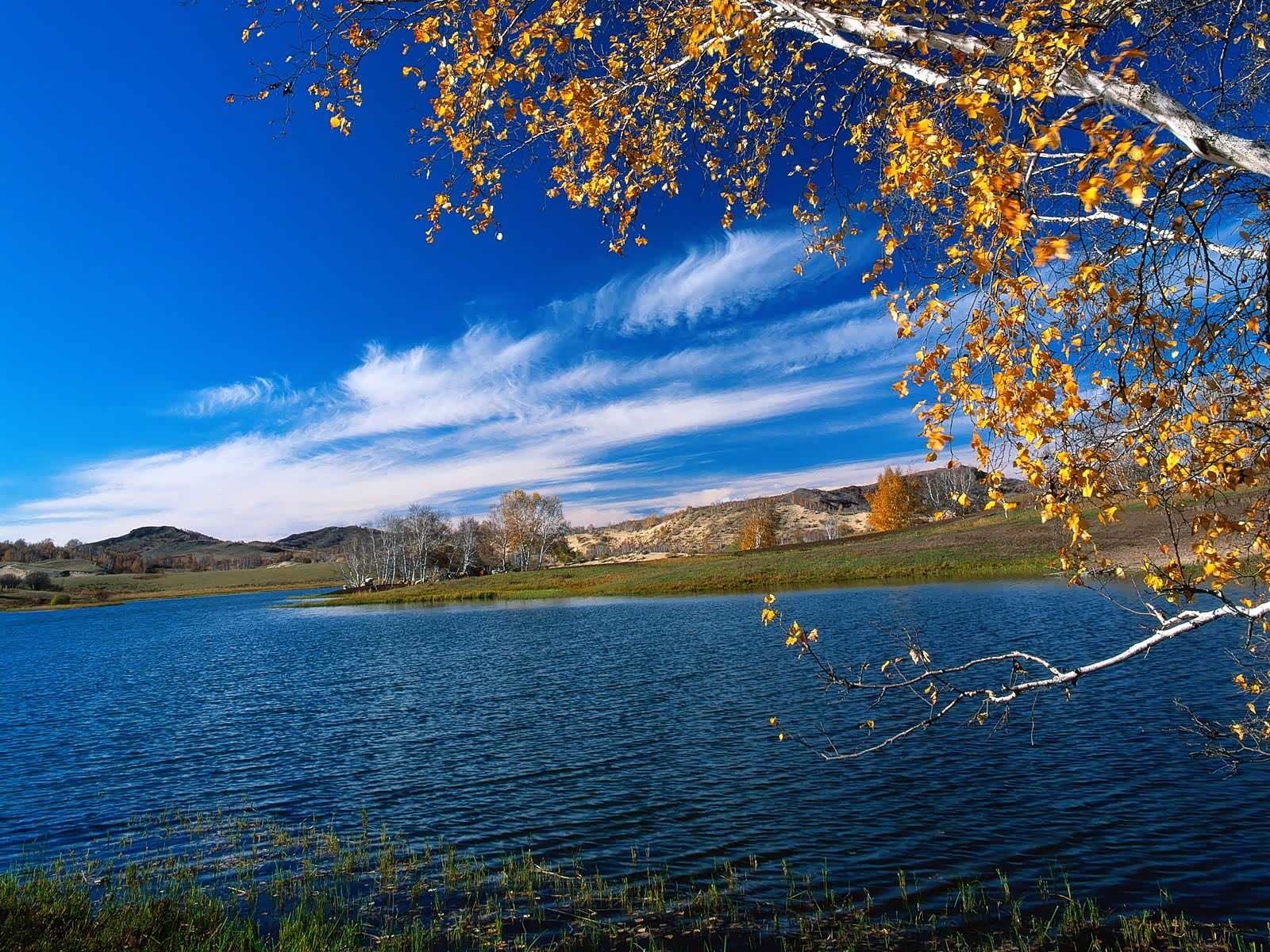 世上再美的风景,都不及回家的那段路.