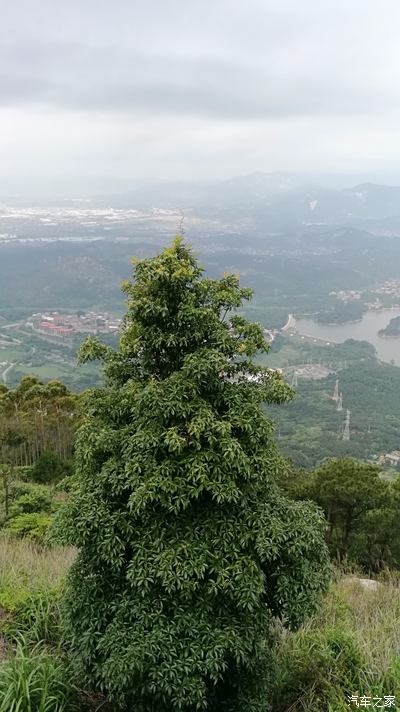 清源之奇以石,紫帽之秀以峰,紫帽山齊泰嶽喬