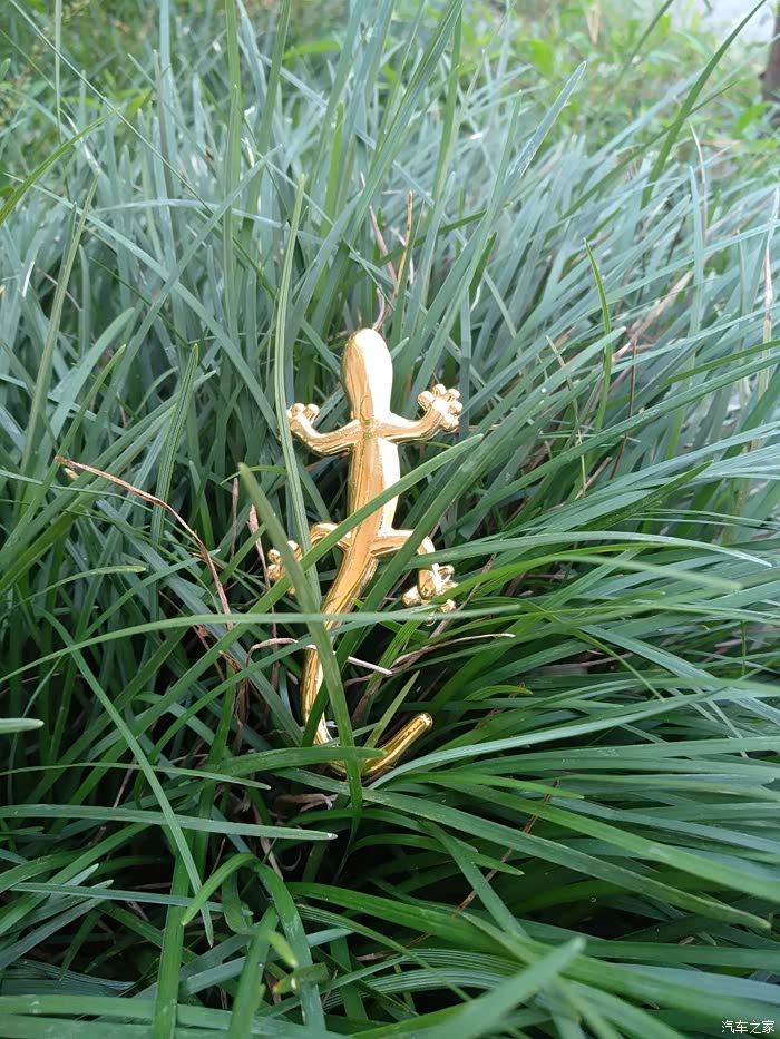 家家众测雨露均沾no17壁虎车贴塑料17