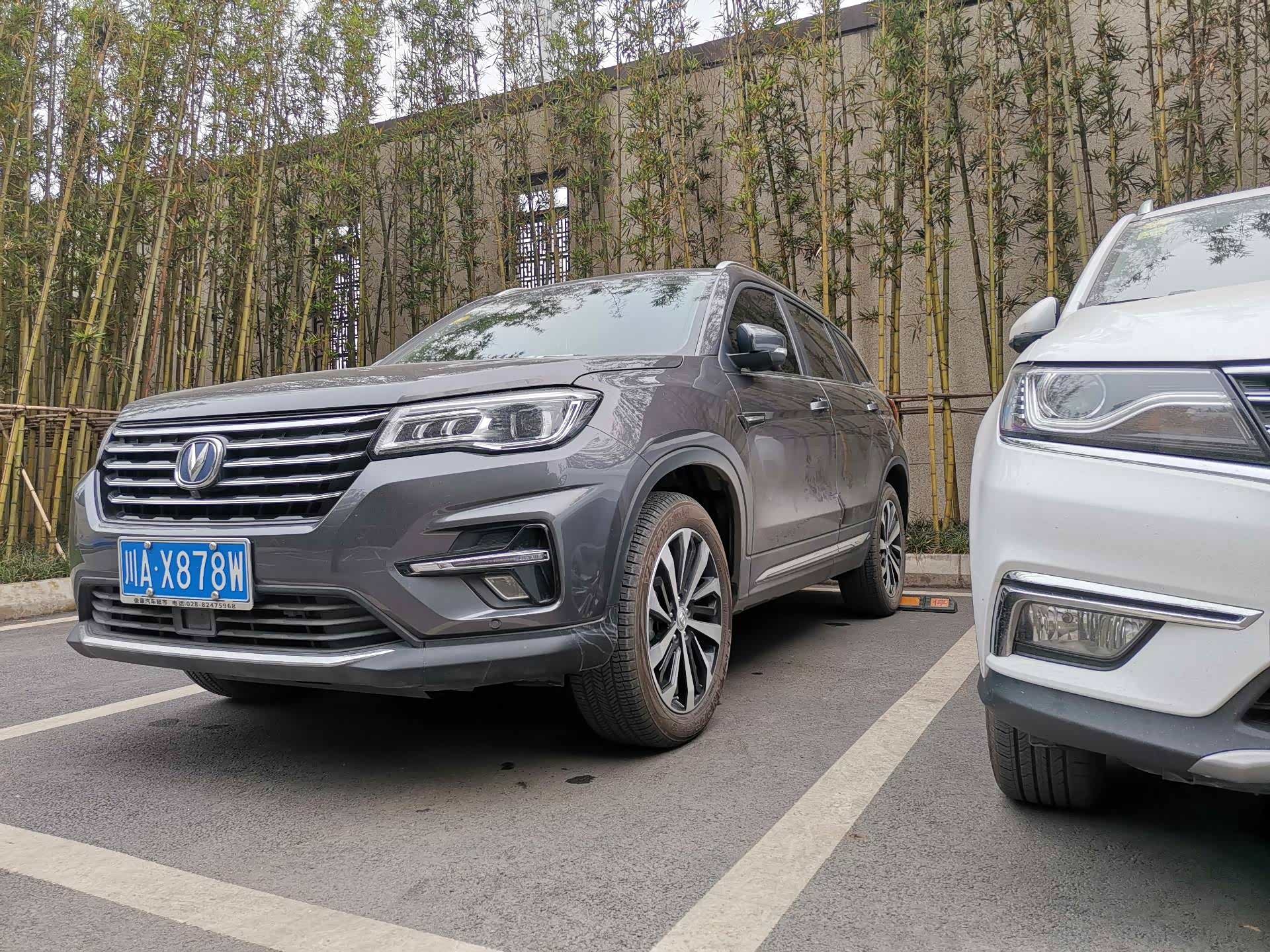 求问安第斯灰实车照片?