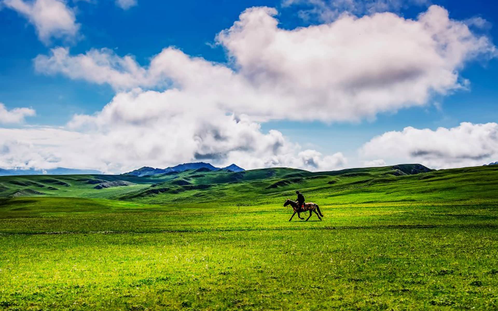 儿郎圈羊归.迟暮方知远.辰夜酒盏挥.