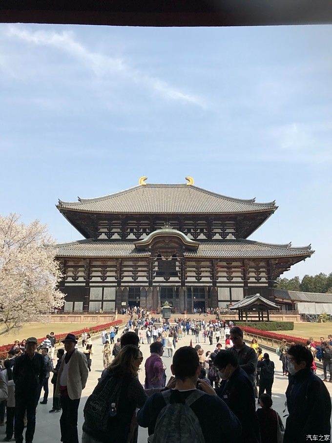 最有名殿內大佛山,其次建築也有特色,東大寺大佛殿世界最大木造古建築