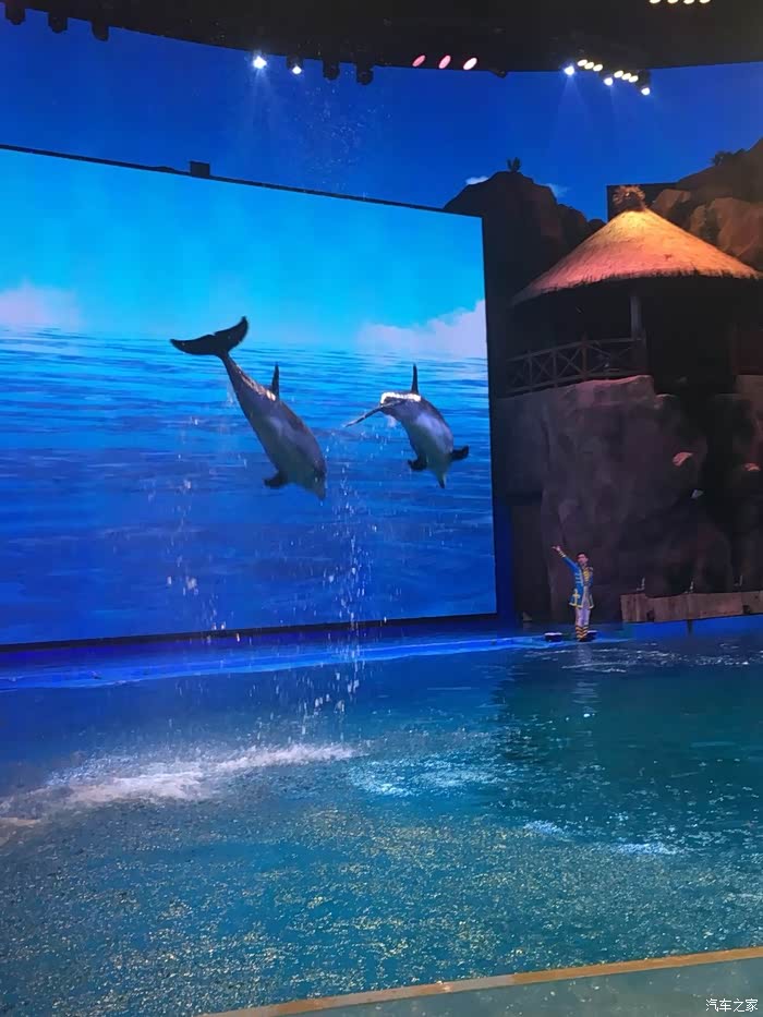 车友一起暑假芜湖大白鲸海洋馆亲子游