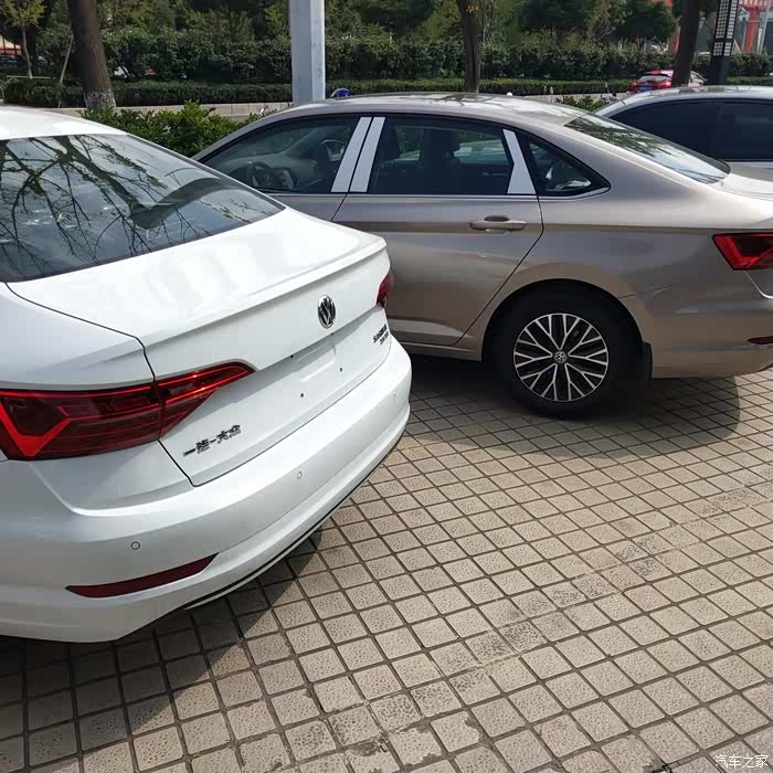 白色和海贝金放一起了