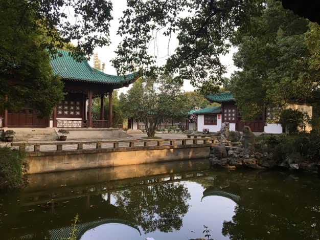 周末午后游苍柏园