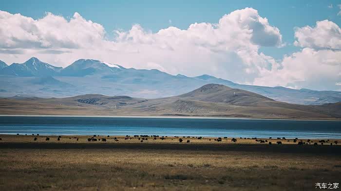 藏文化发源地雍布拉康,漫步哲古草原