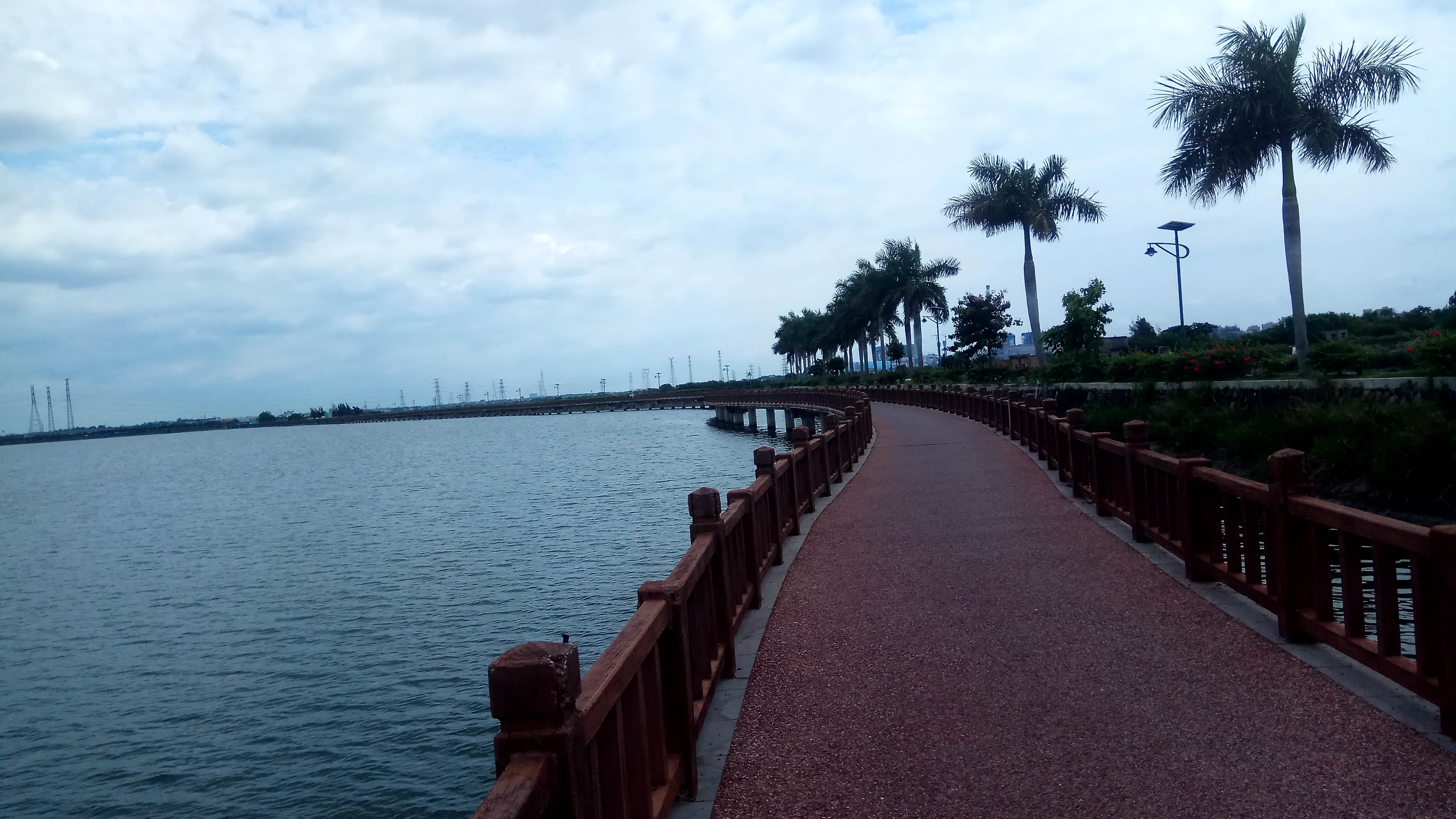 【六月大征集】夏日的滨湖公园——与小鸟的邂逅,惊艳了一湖风光