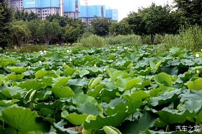 晋江市绿洲公园