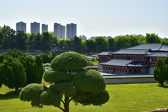 大明宫遗址公园照片图片