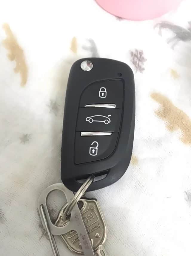 求问大神致炫的钥匙