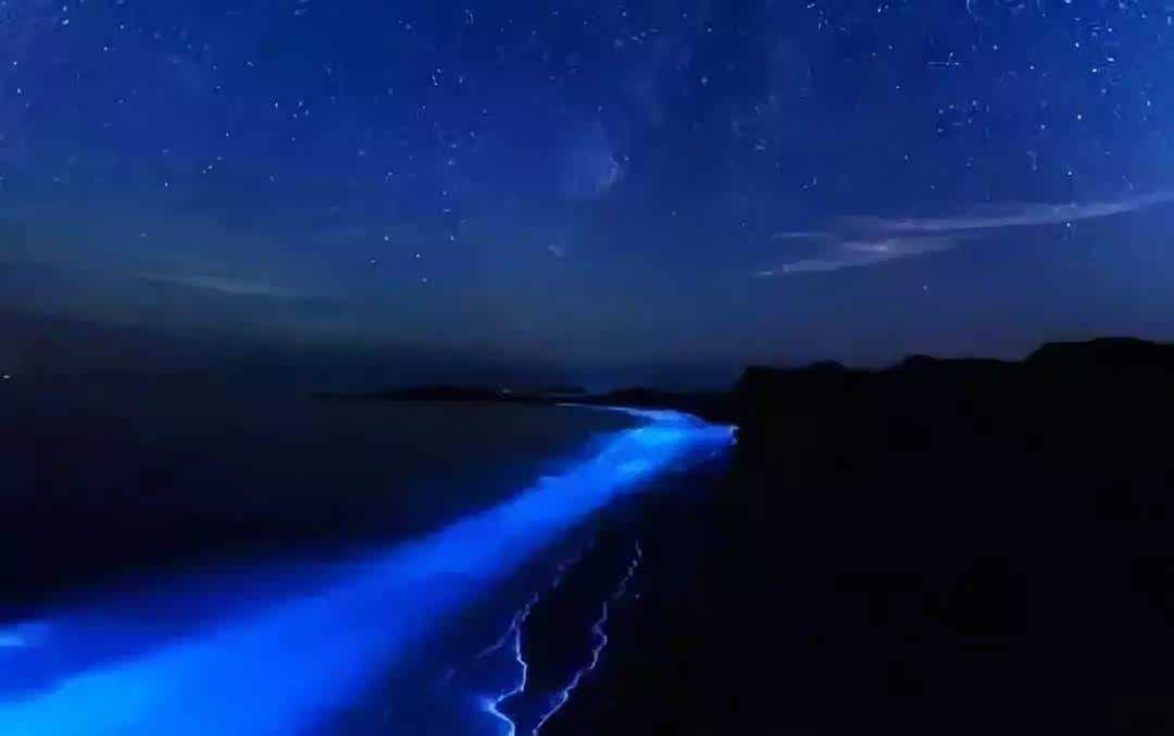 大连这荧光海实在很难遇到,这样奇特的景观遇到了就快许个心愿吧