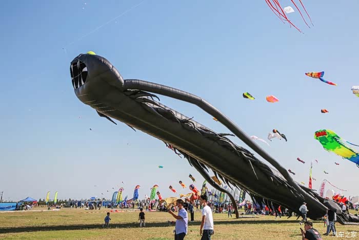 带你走进潍坊第37届风筝之都