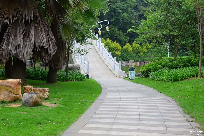 烈阳高照柳州鹿山公园秀美大自然