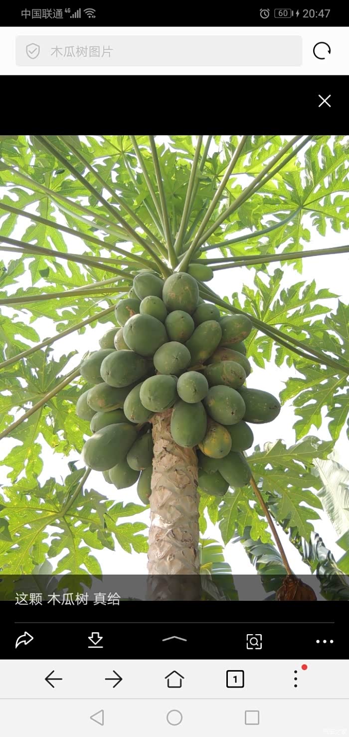 【秋季美景】不一样的秋