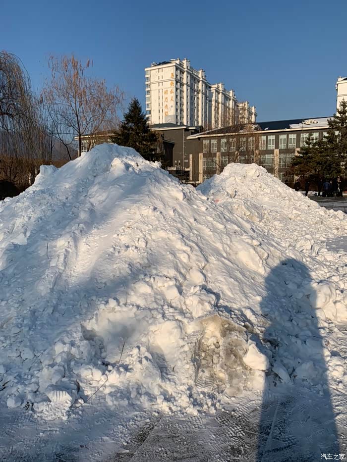 今年的雪下得有点多,眼前一人多高的雪堆