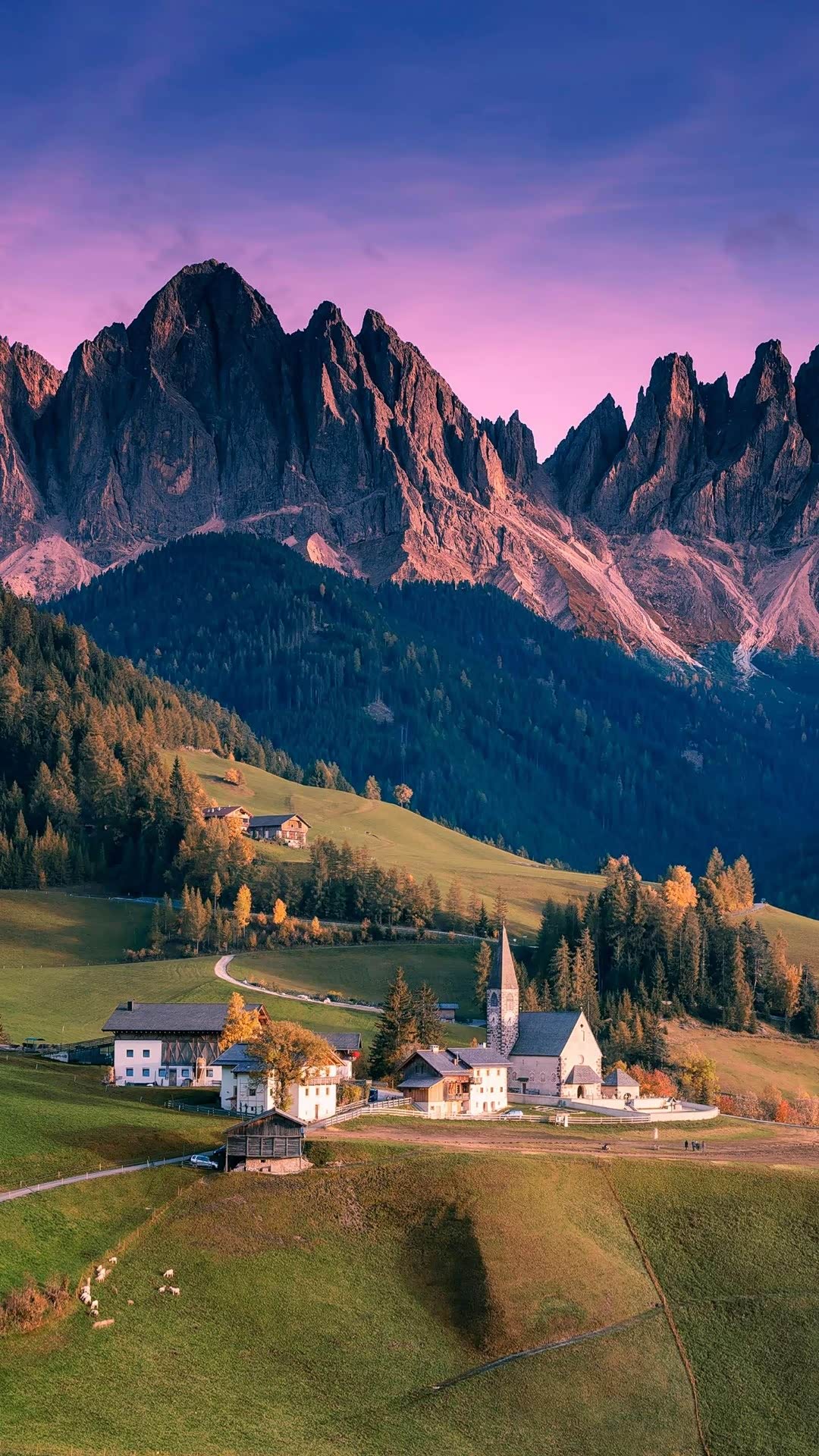 请欣赏一组手机屏保照片.