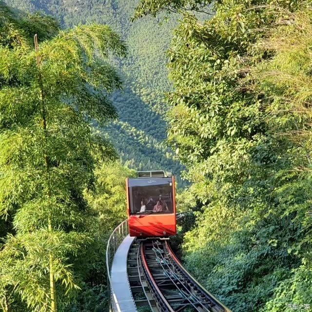 出游南山竹海,小欧一直陪伴在身边