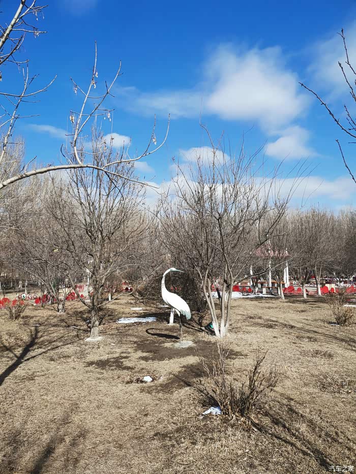 虎眼看长春之岱山公园