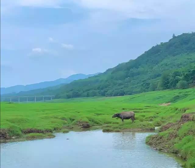 重庆户外大草原,南平坝风景.