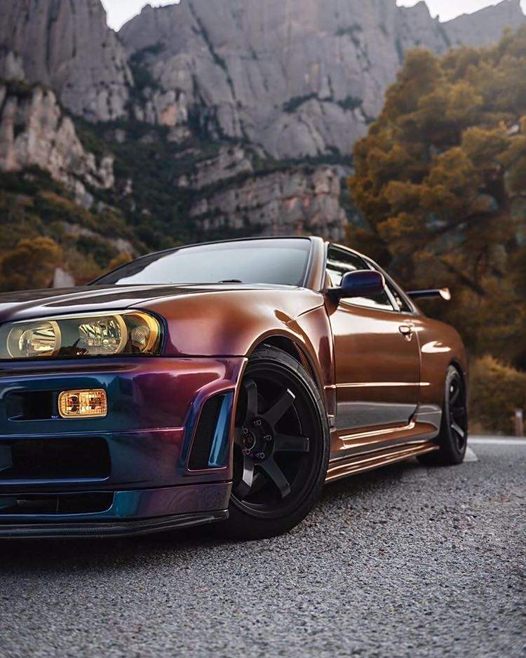 r34would图片