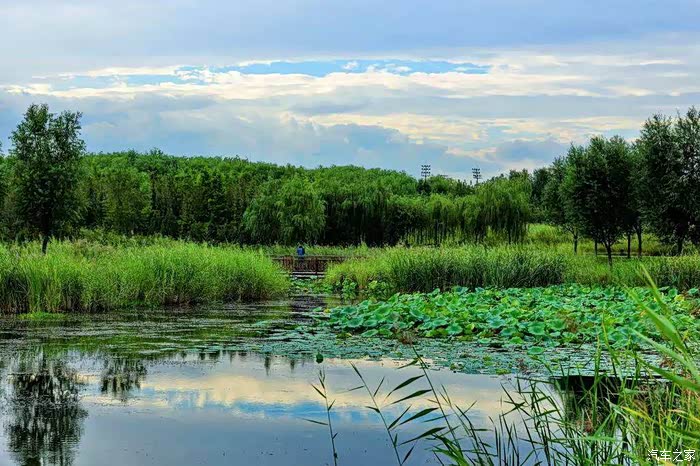 亚洲最大城市绿化景观,你身边的"秘密森林"