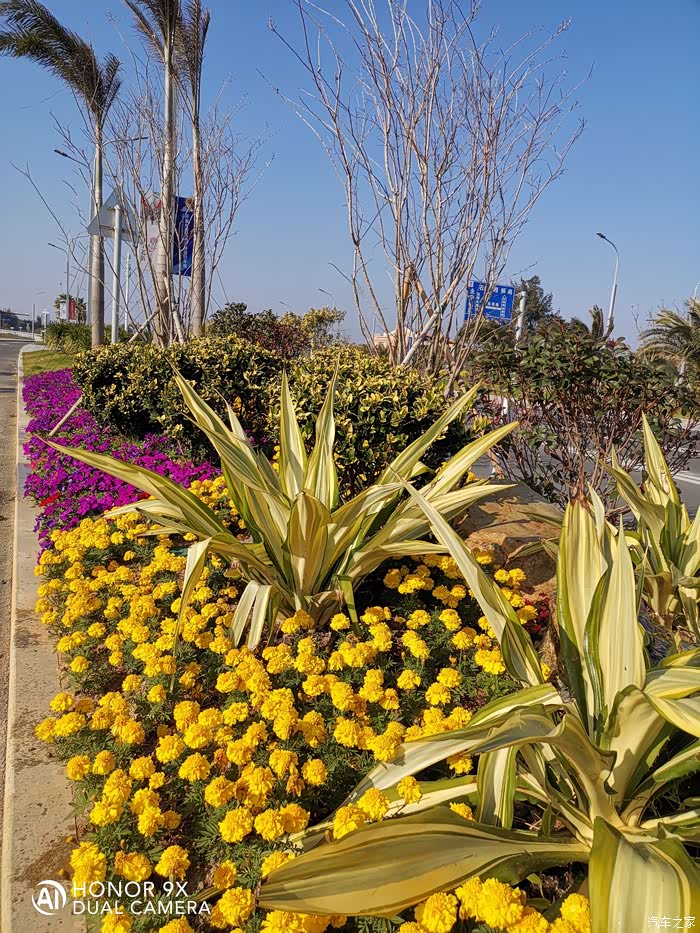 自由骑行;石狮花海谷公园游记