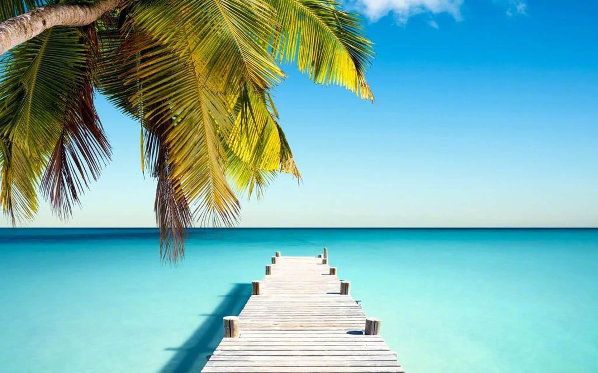 河面的雨滴飘动的树叶湿润的街道瞬间让人神清气爽