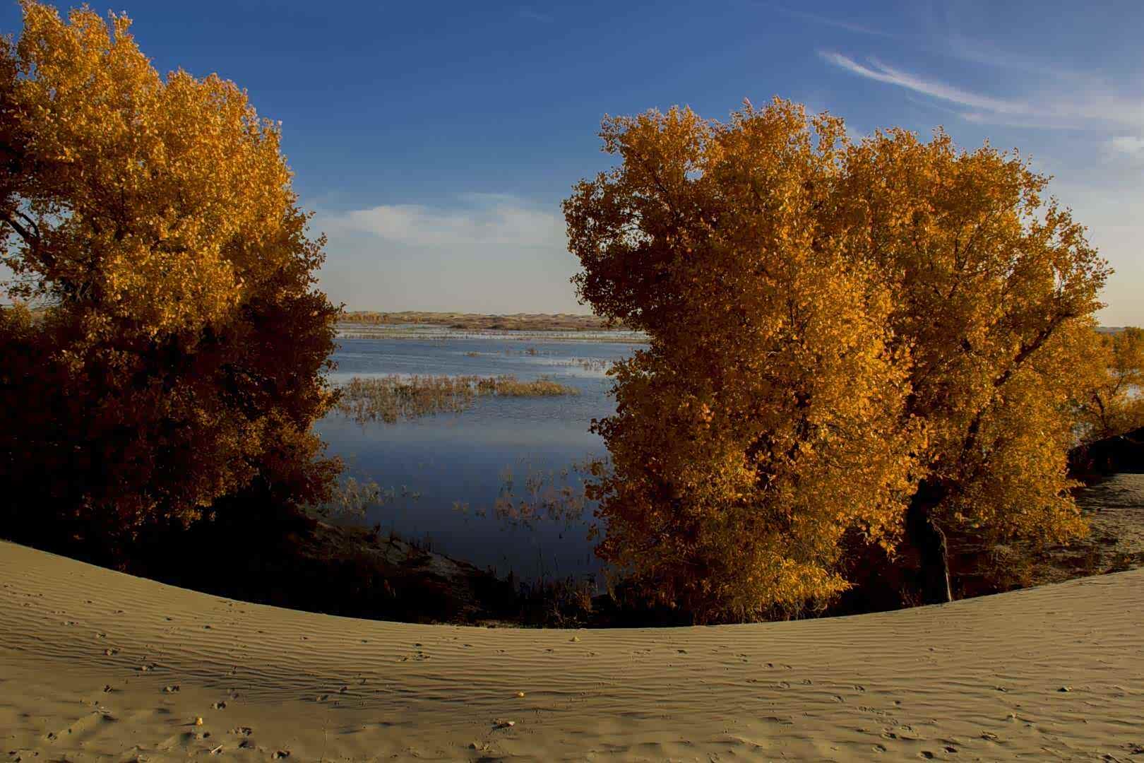 世上再美的风景,都不及回家的那段路.