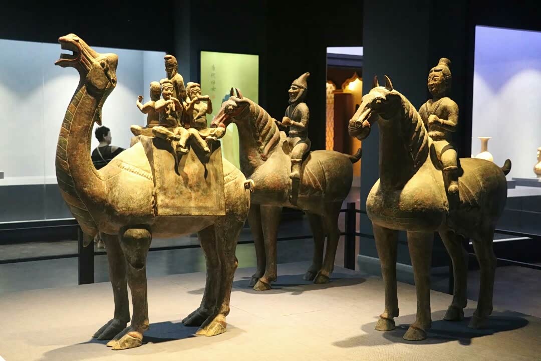 寻找上下五千年的珍奇宝物