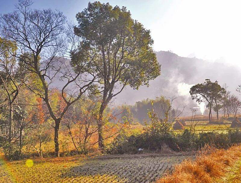 西郭村这处无人打扰的风景开始了油画般的着色